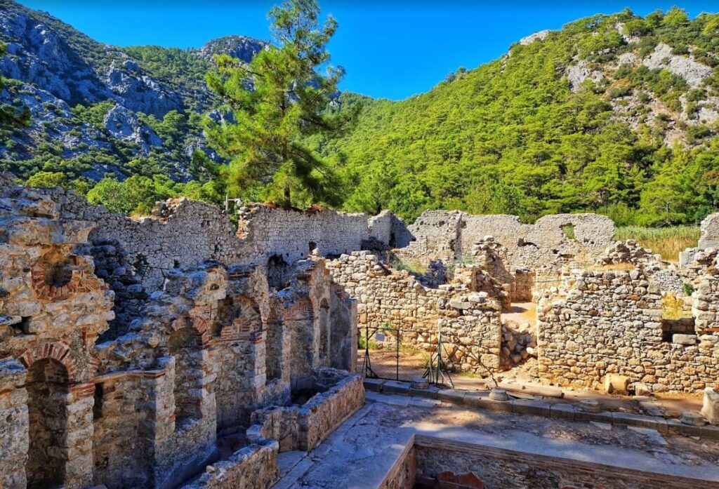 Olympos Cove (Çıralı)