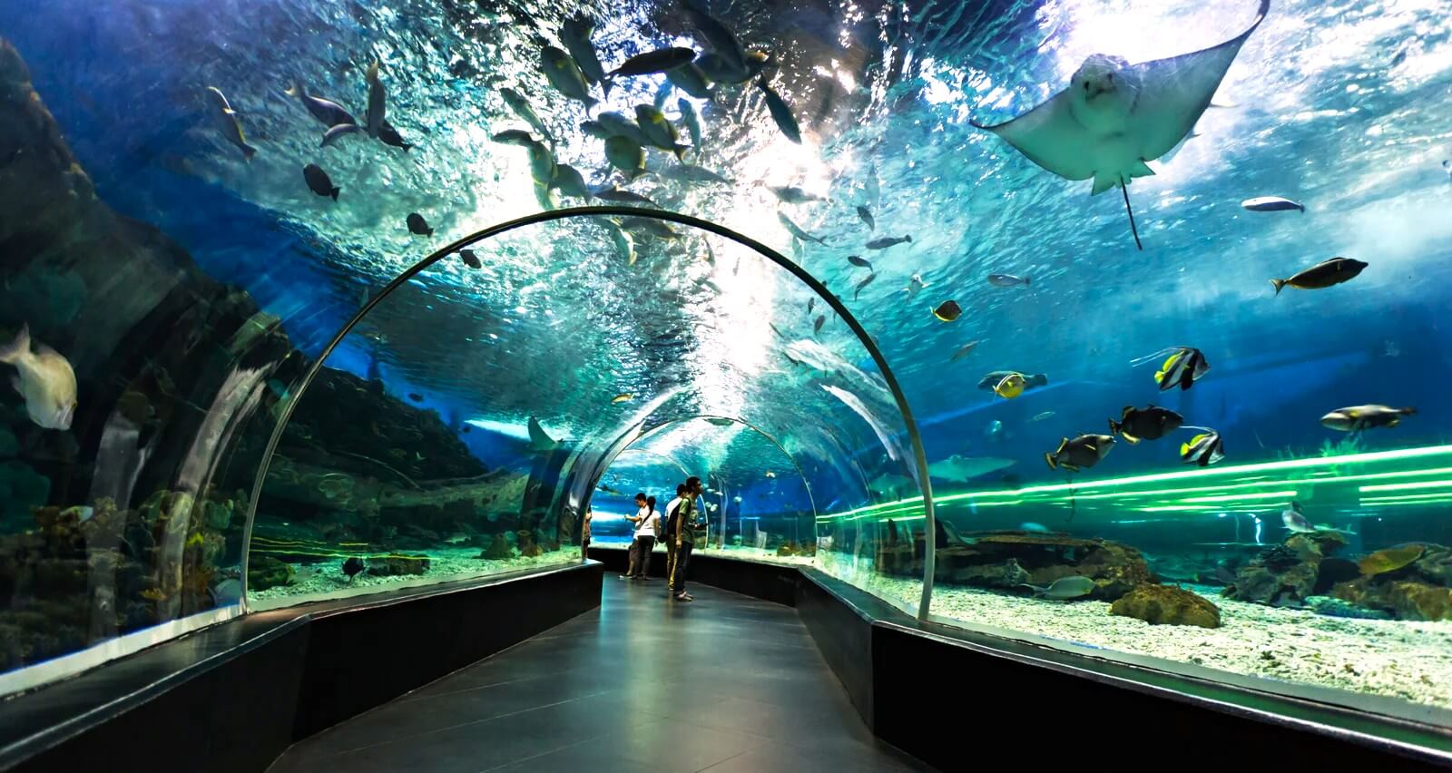 Antalya Aquarium