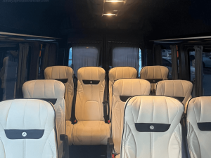 Antalya 1-13 person transfer tour vehicle (3)